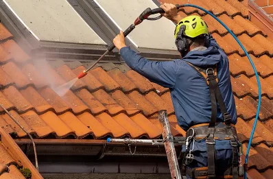 Démoussage et hydrofuge de toiture à Yzernay